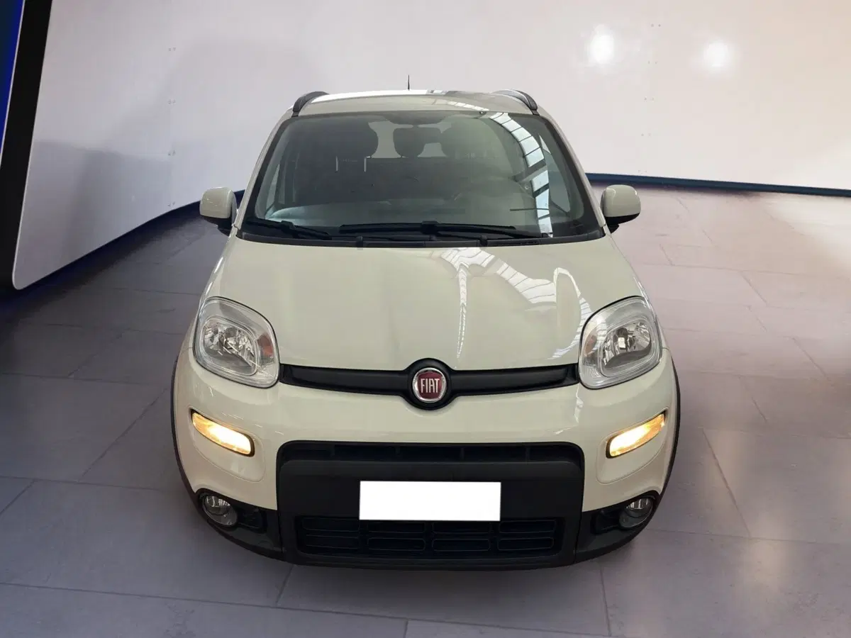 Fiat Panda usata a Torino