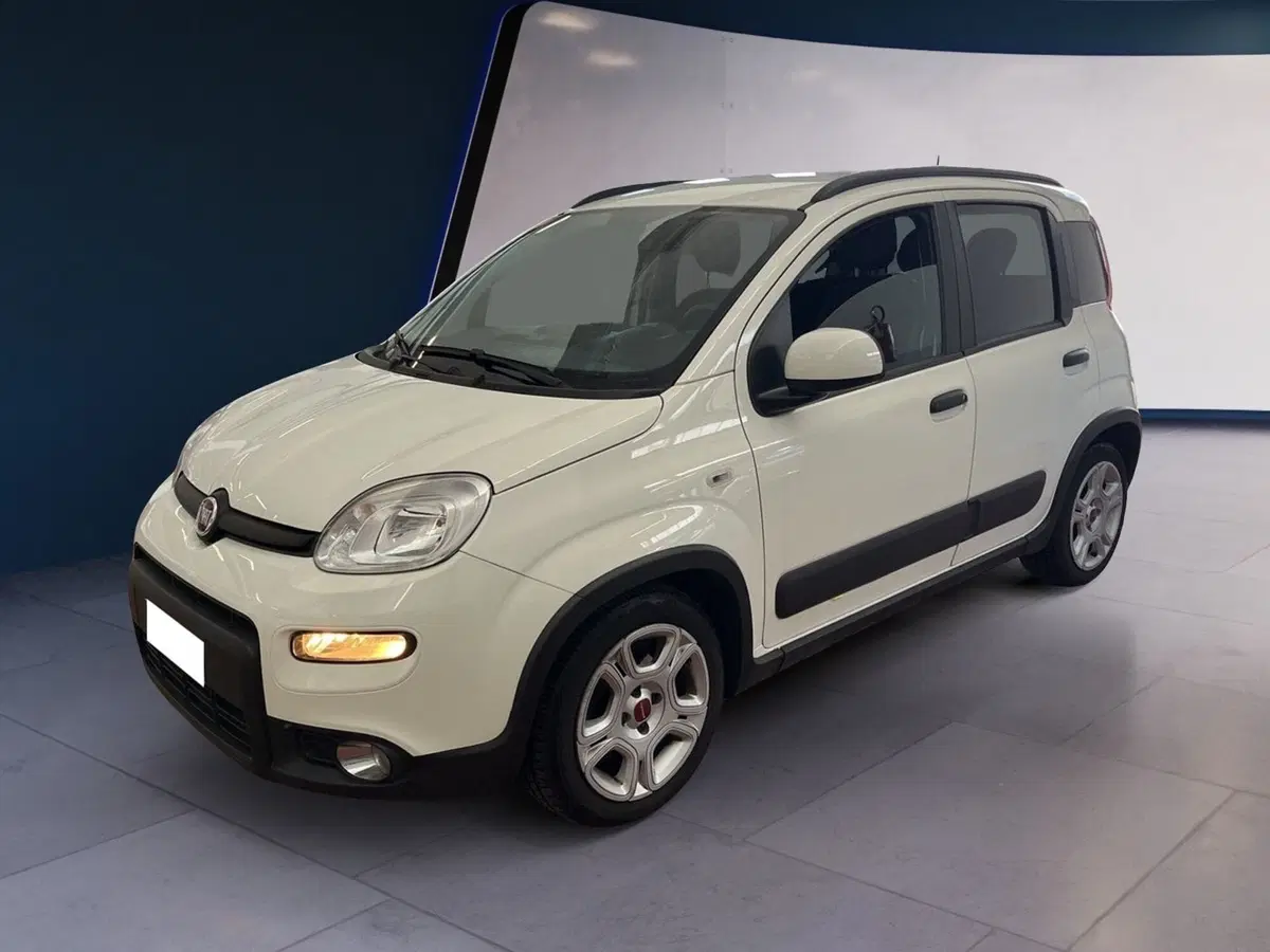 Fiat Panda usata a Torino (2)