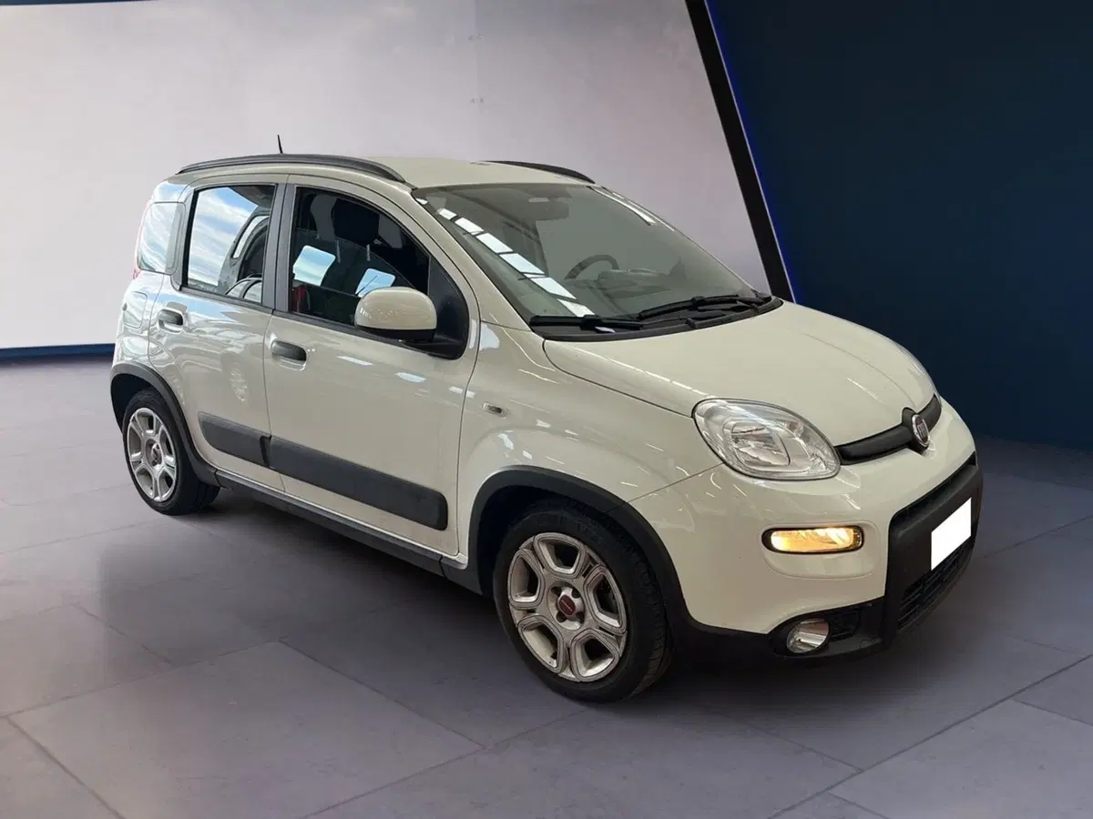 Fiat Panda usata a Torino (3)
