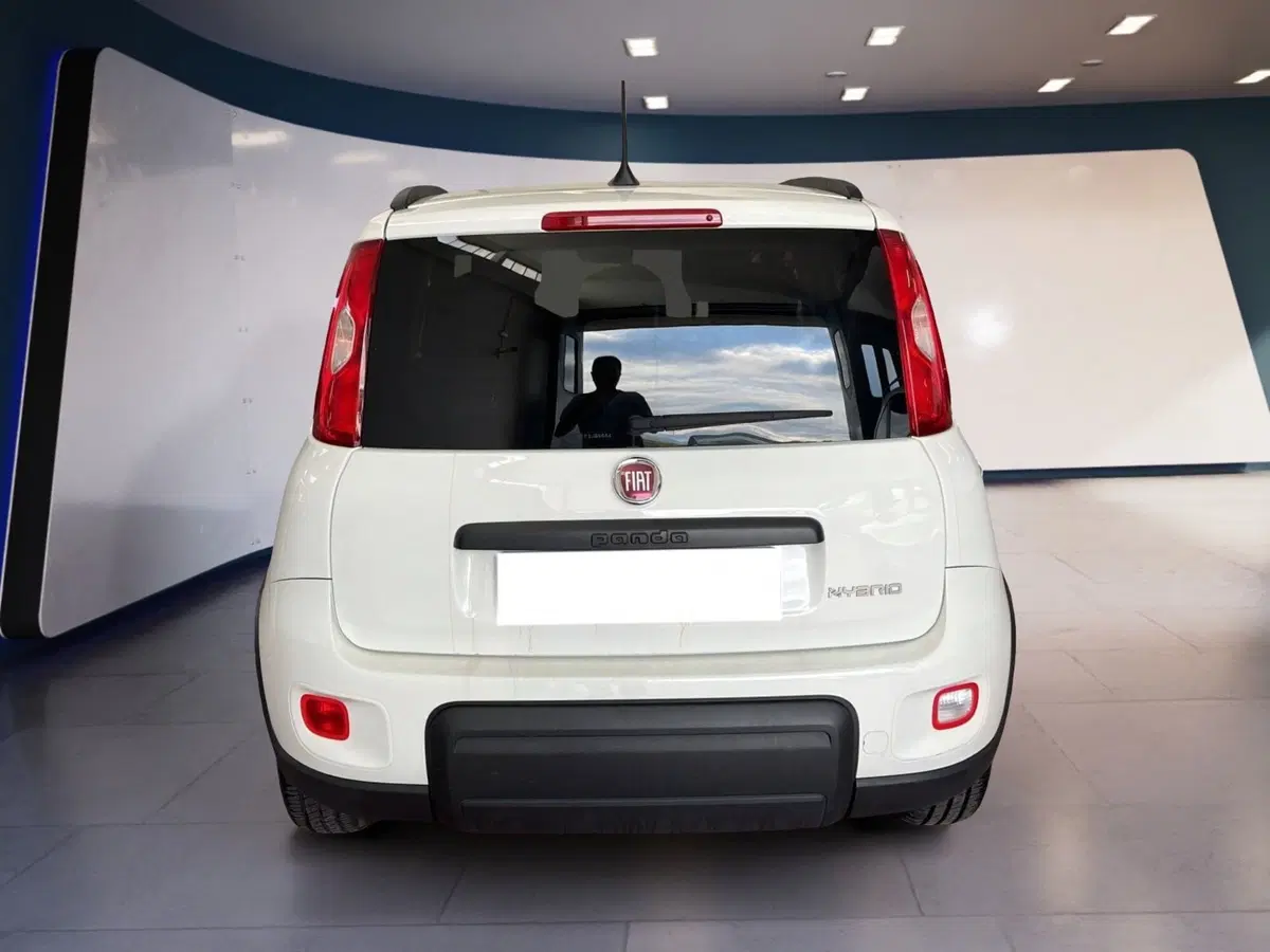 Fiat Panda usata a Torino (5)