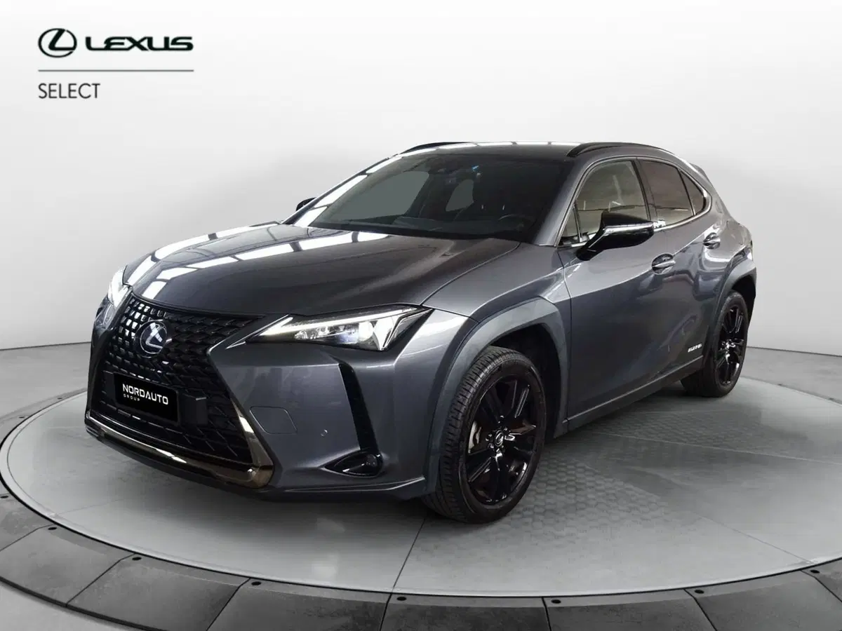 Lexus UX usata a Treviso