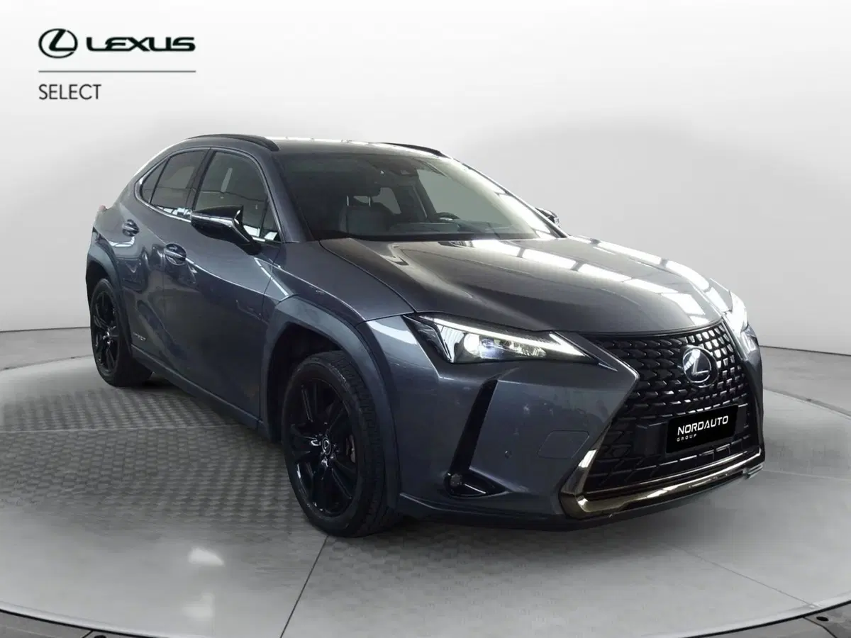 Lexus UX usata a Treviso (2)