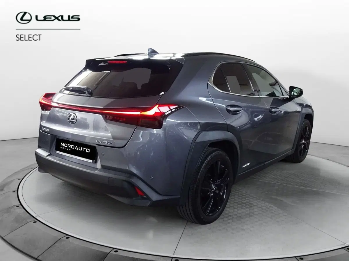 Lexus UX usata a Treviso (3)