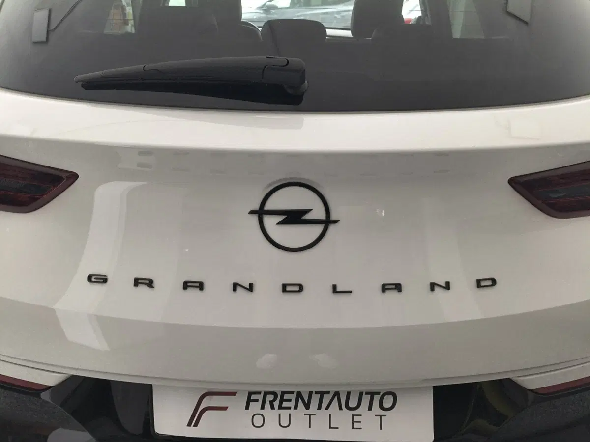 Opel Grandland usata a Macerata (10)