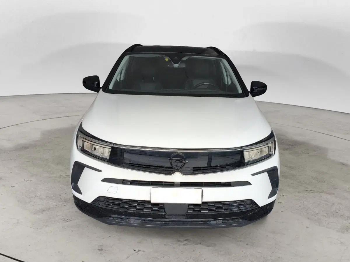 Opel Grandland usata a Macerata (5)