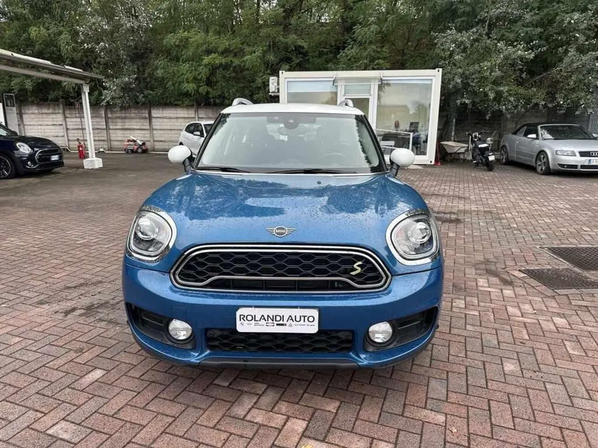 MINI Mini Countryman usata a Alessandria (3)