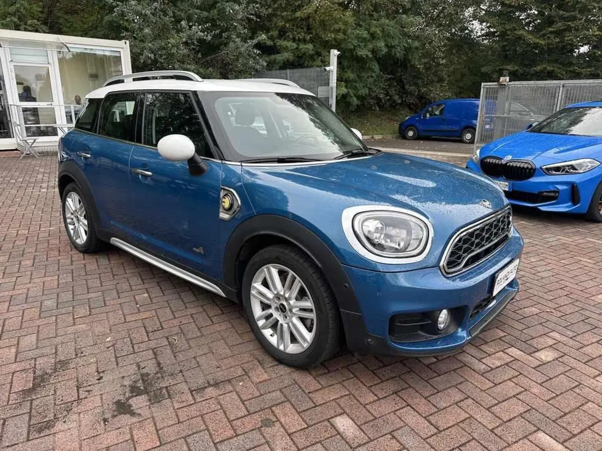 MINI Mini Countryman usata a Alessandria (9)