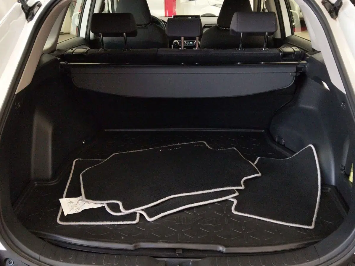 Toyota Rav4 usata a Roma (6)