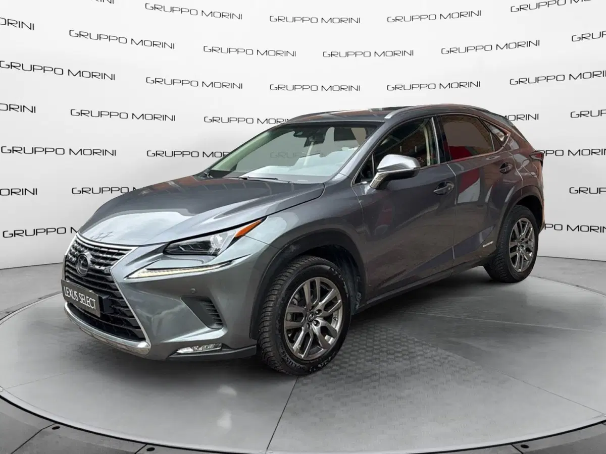 Lexus NX usata a Bologna