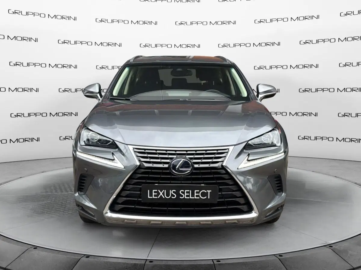 Lexus NX usata a Bologna (2)