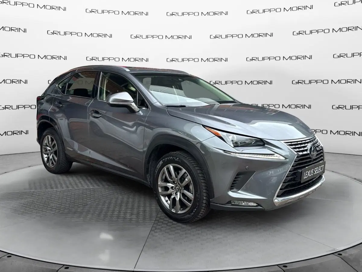 Lexus NX usata a Bologna (3)