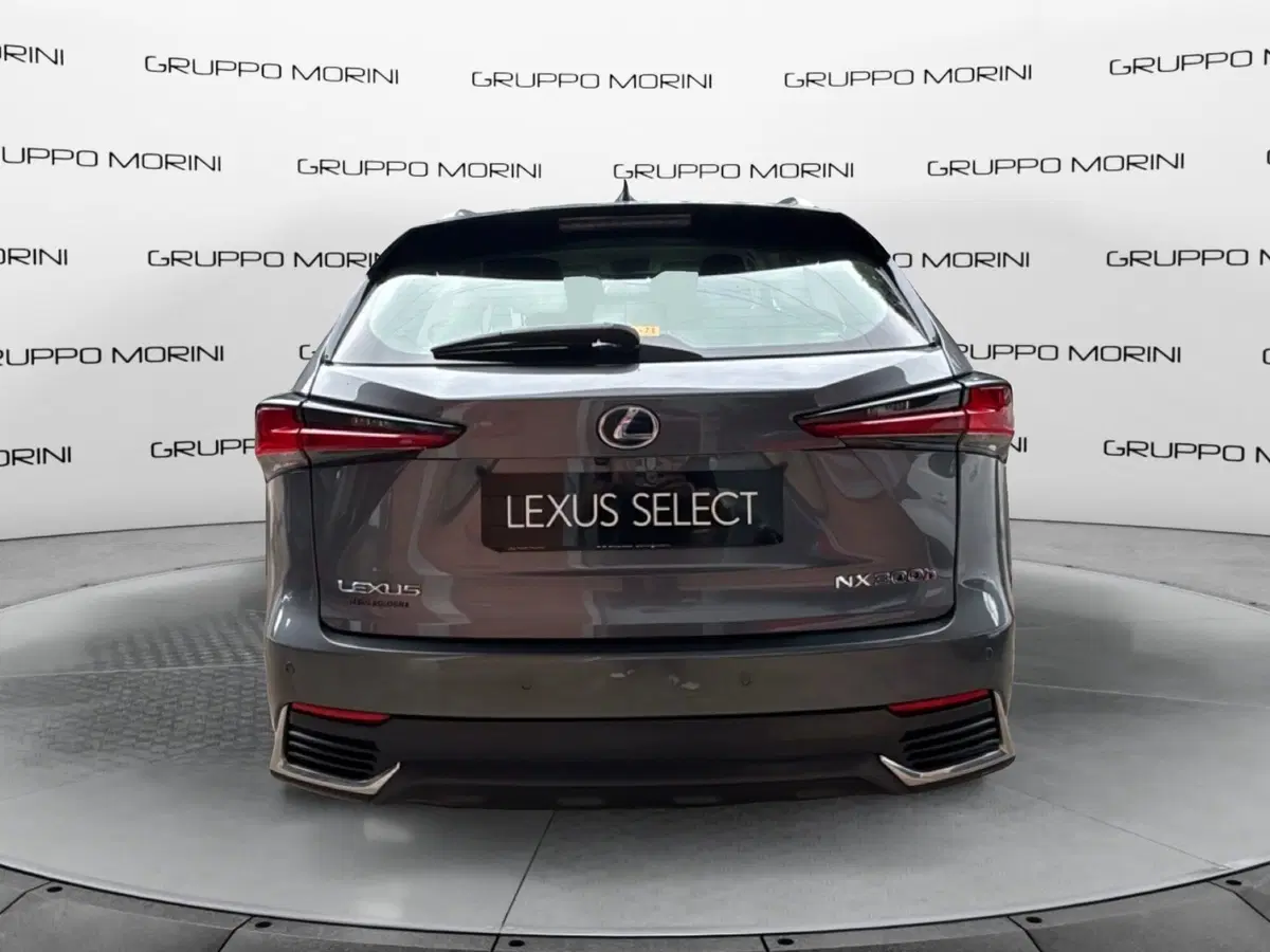 Lexus NX usata a Bologna (4)