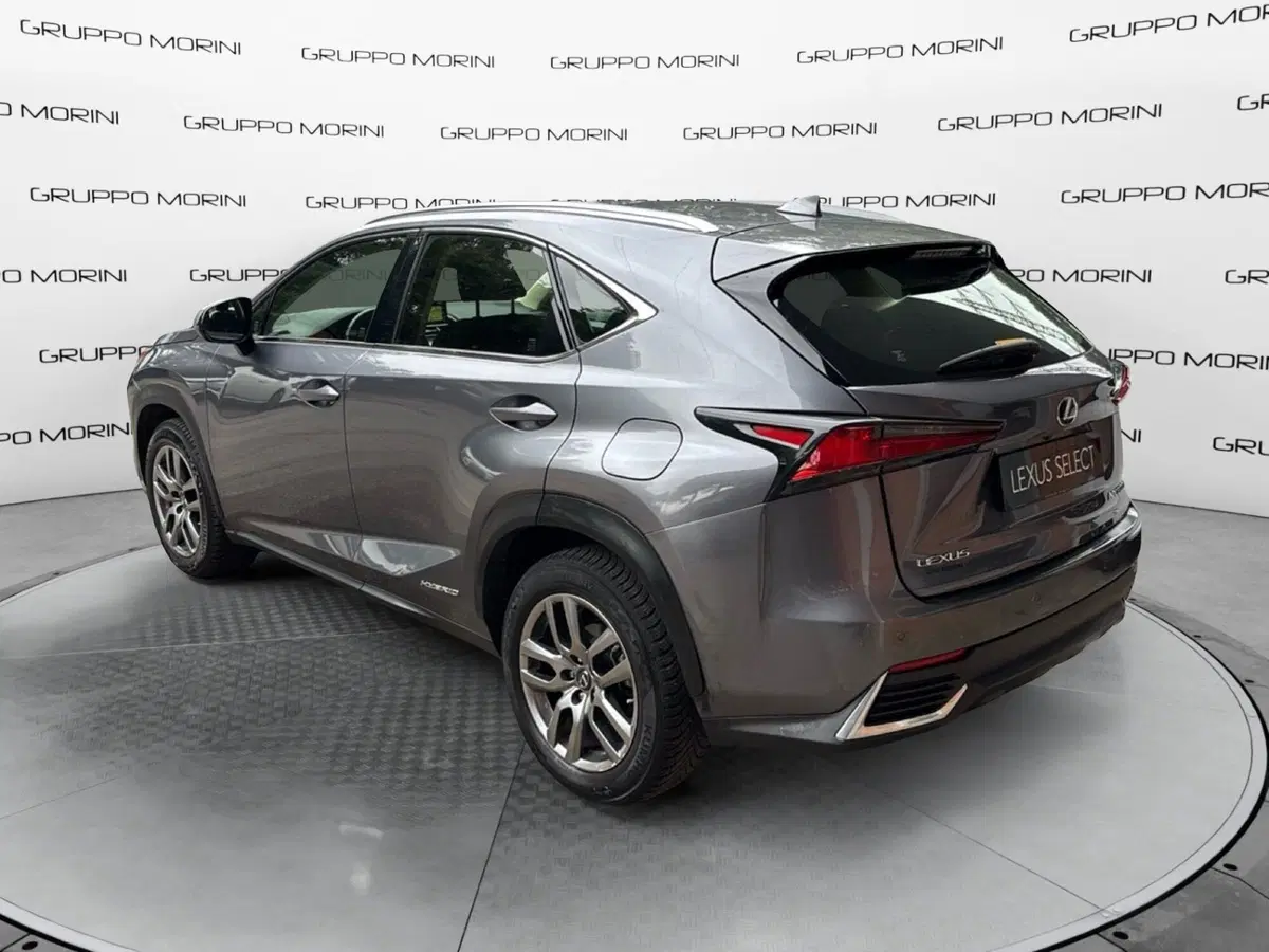 Lexus NX usata a Bologna (5)