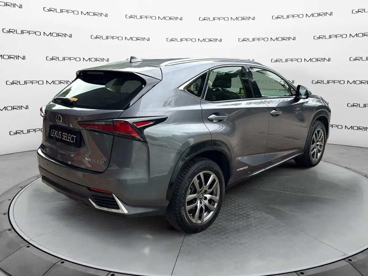 Lexus NX usata a Bologna (6)