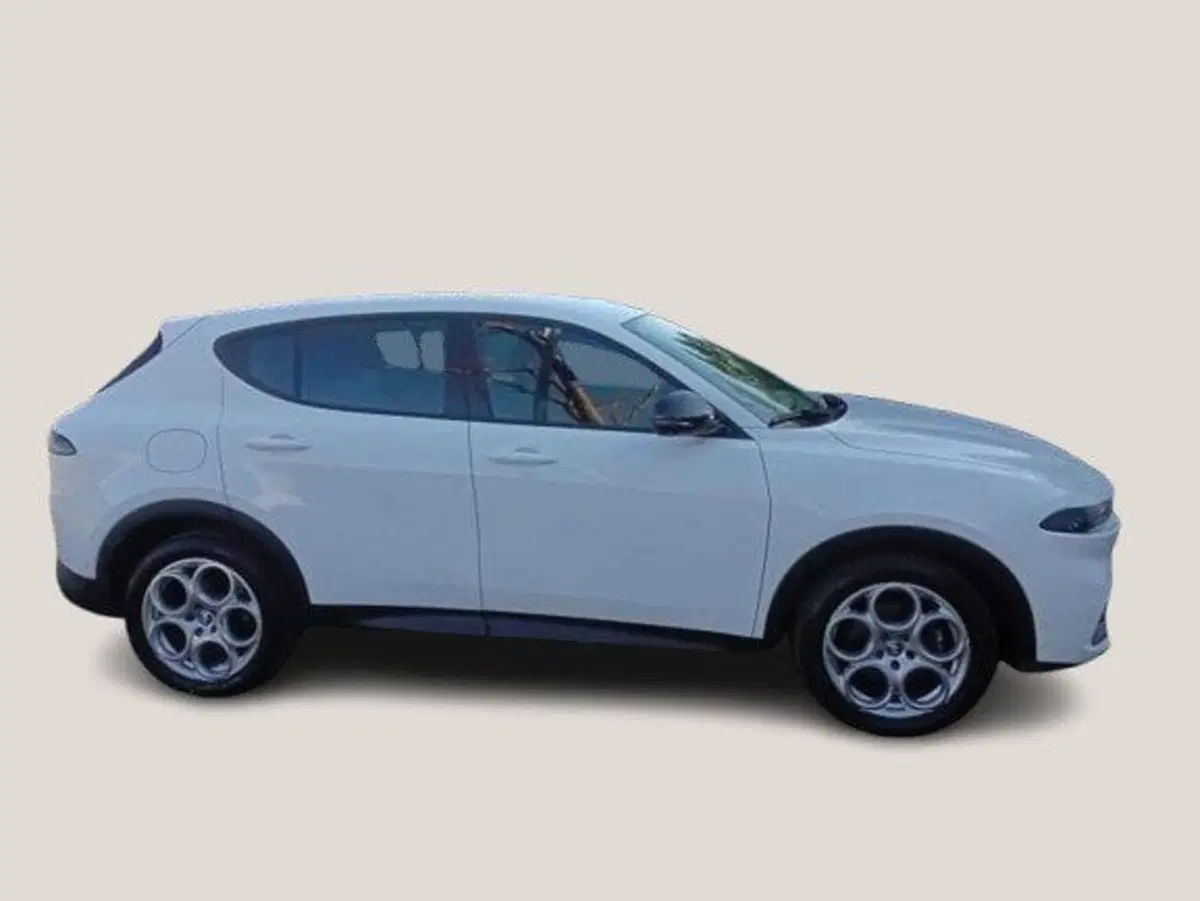 Alfa Romeo Tonale usata a Macerata (3)
