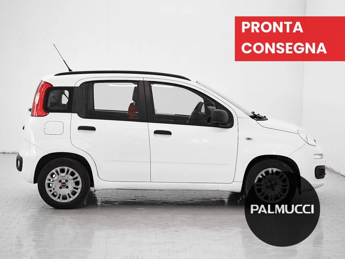 Fiat Panda usata a Prato (4)