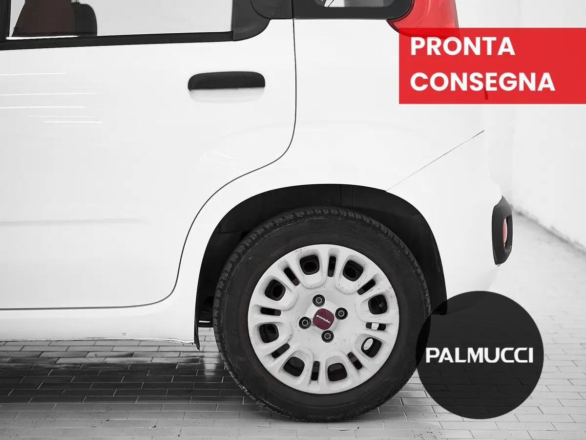 Fiat Panda usata a Prato (7)