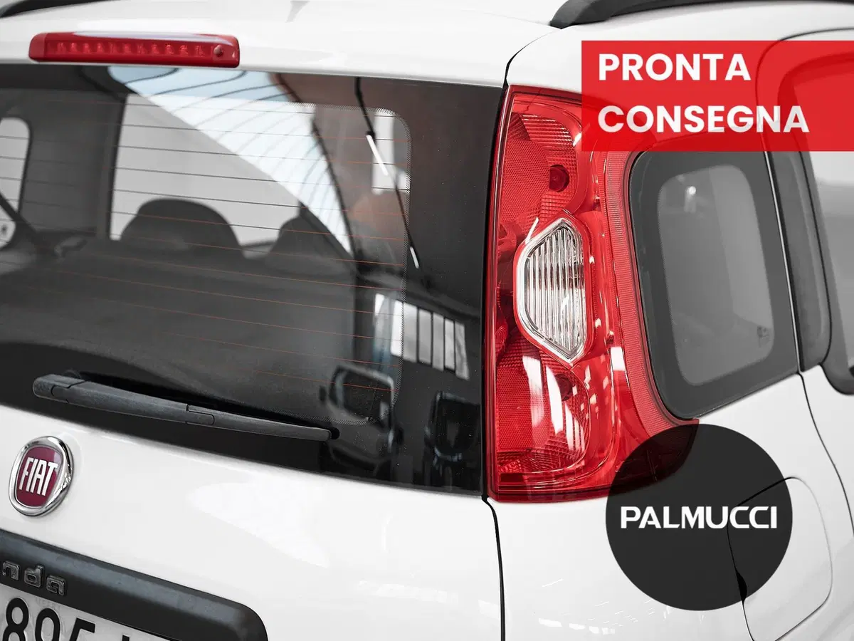 Fiat Panda usata a Prato (8)