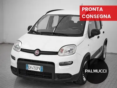 Fiat Panda 1.0 FireFly S&S Hybrid City Cross del 2021 usata a Prato