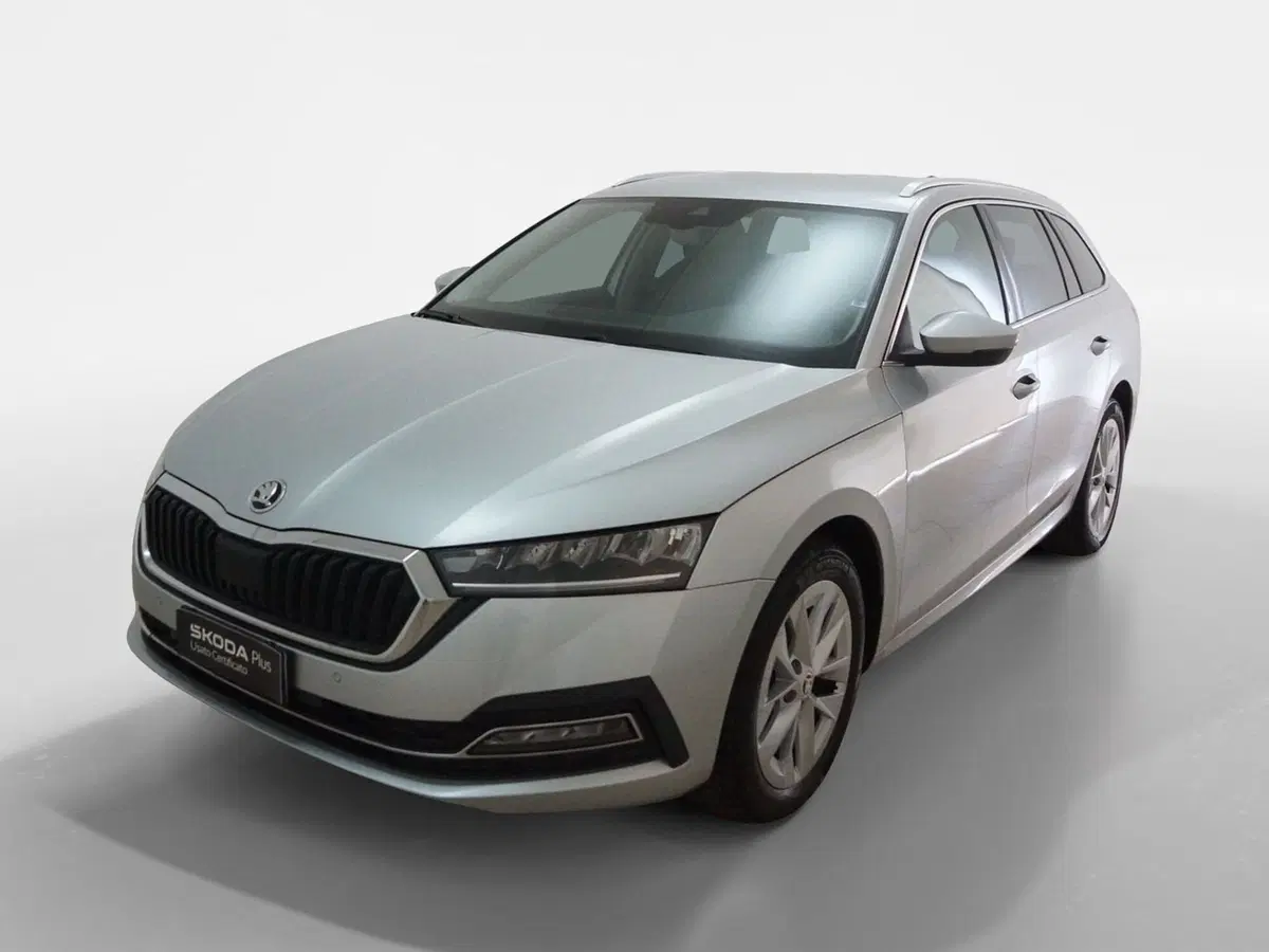 Skoda Octavia Station Wagon usata a Torino (3)