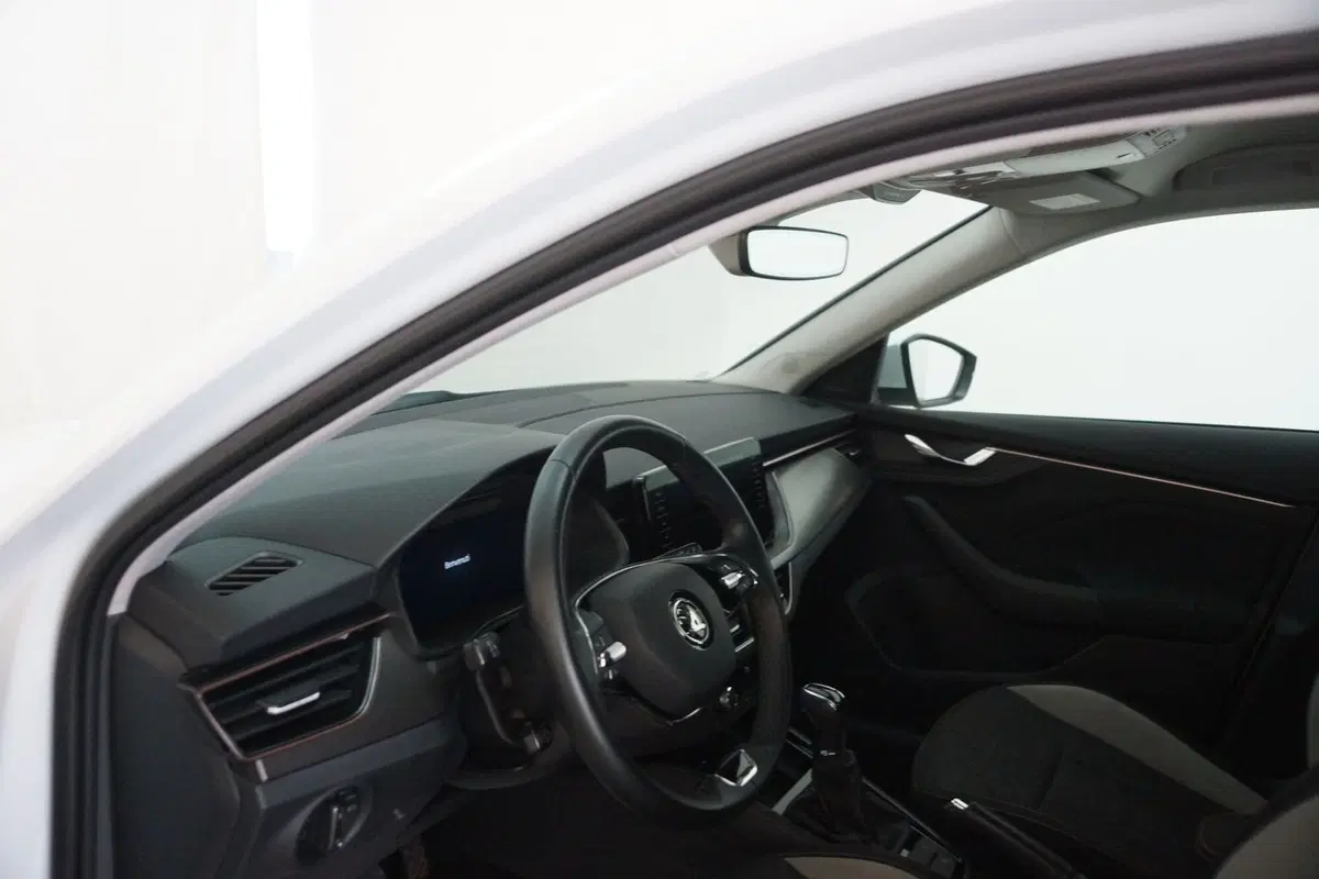 Skoda Kamiq usata a Torino (10)