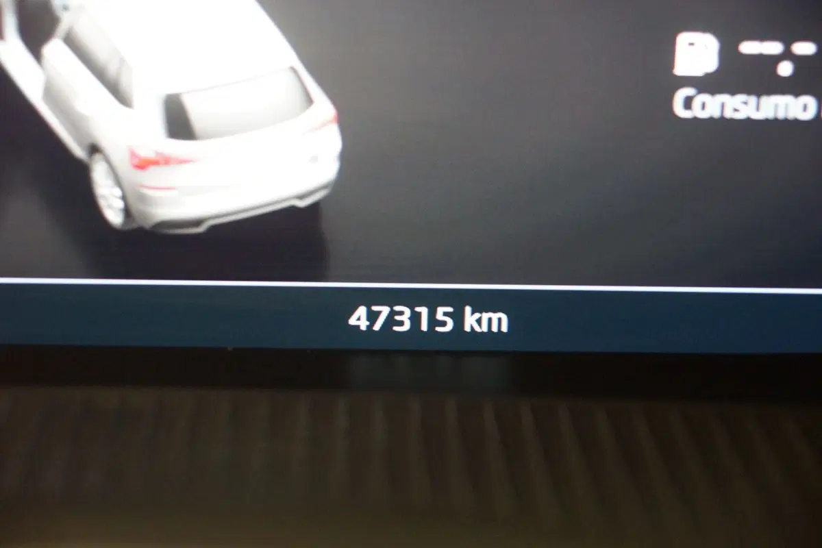 Skoda Kamiq usata a Torino (11)
