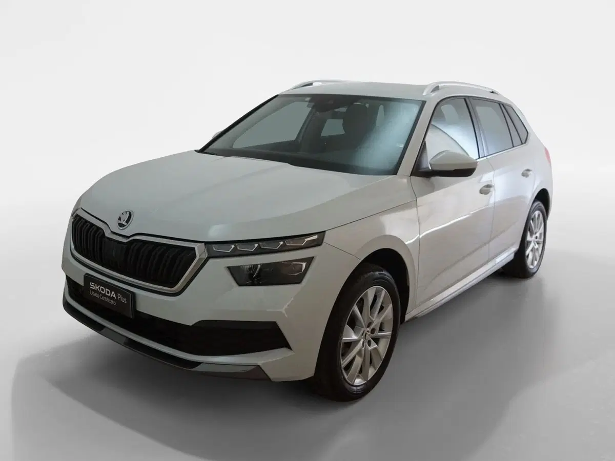 Skoda Kamiq usata a Torino (3)