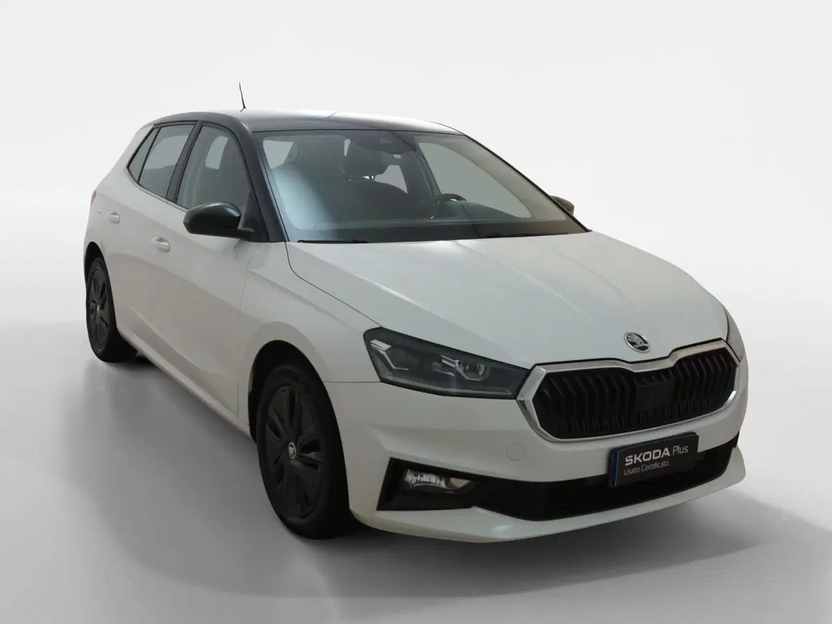 Skoda Fabia usata a Torino