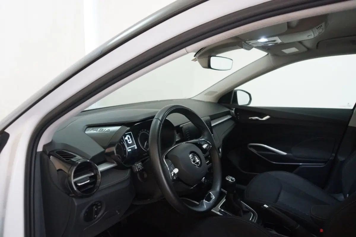 Skoda Fabia usata a Torino (10)