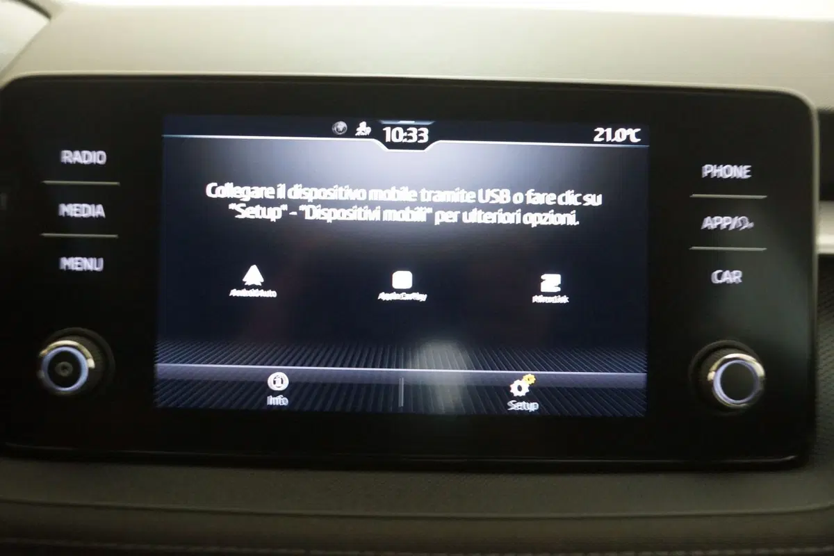 Skoda Fabia usata a Torino (17)