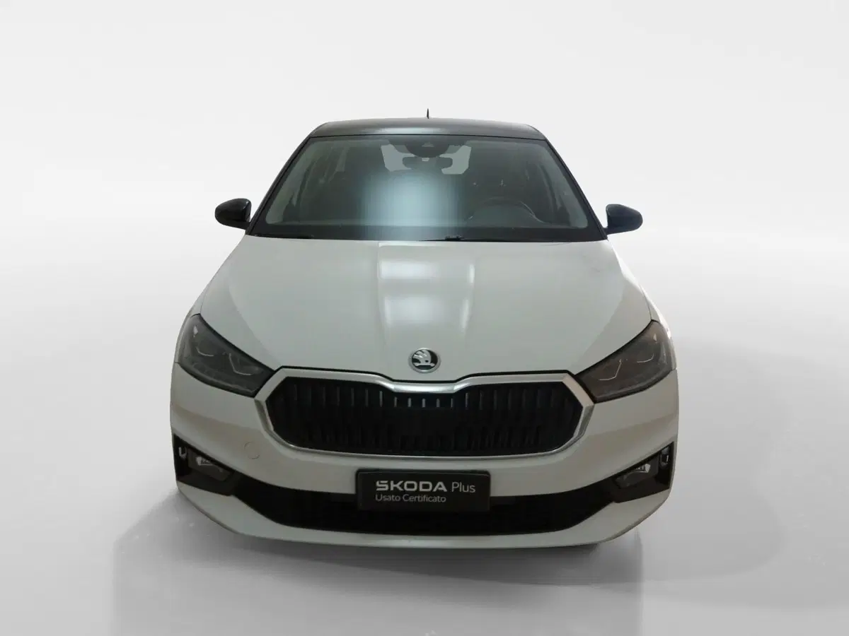 Skoda Fabia usata a Torino (2)
