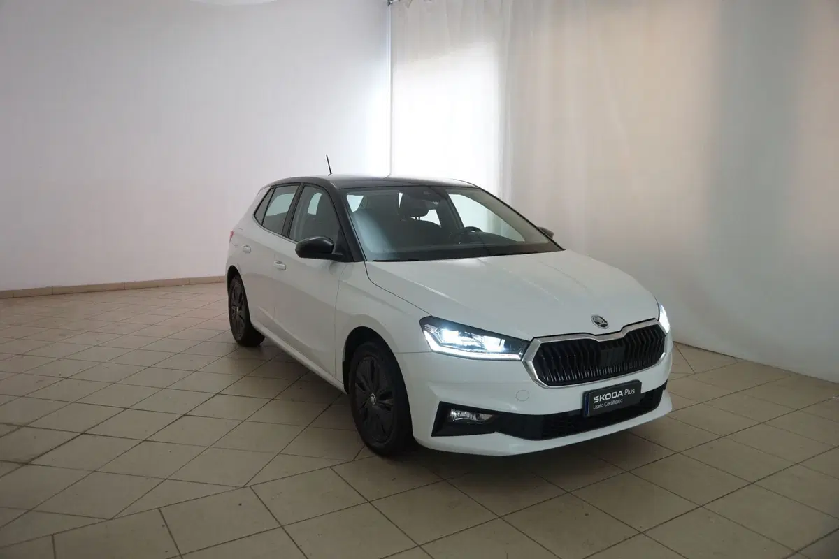 Skoda Fabia usata a Torino (20)