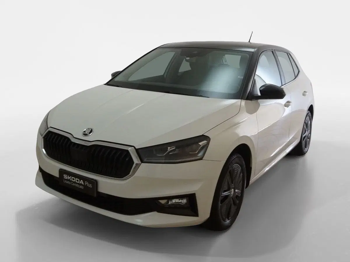 Skoda Fabia usata a Torino (3)