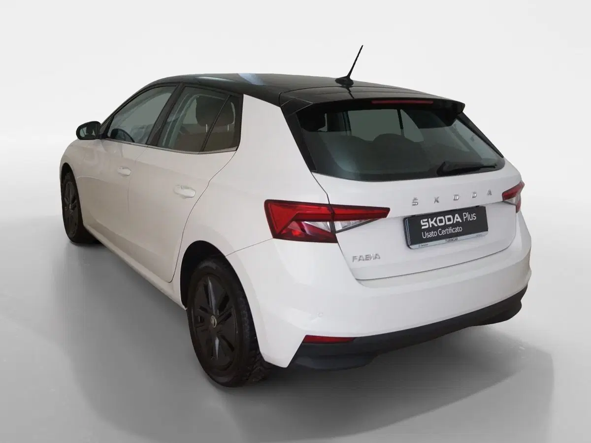 Skoda Fabia usata a Torino (4)