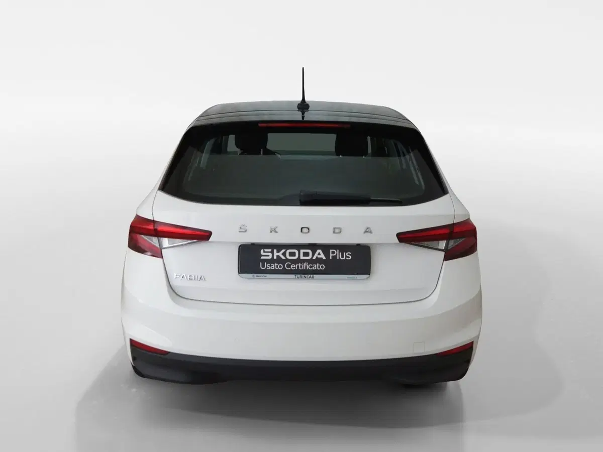 Skoda Fabia usata a Torino (5)