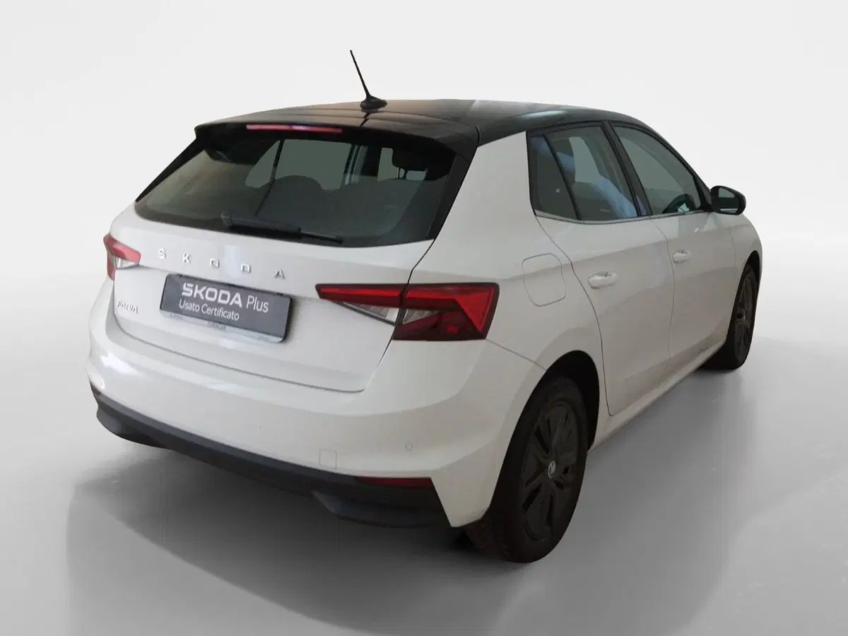 Skoda Fabia usata a Torino (6)