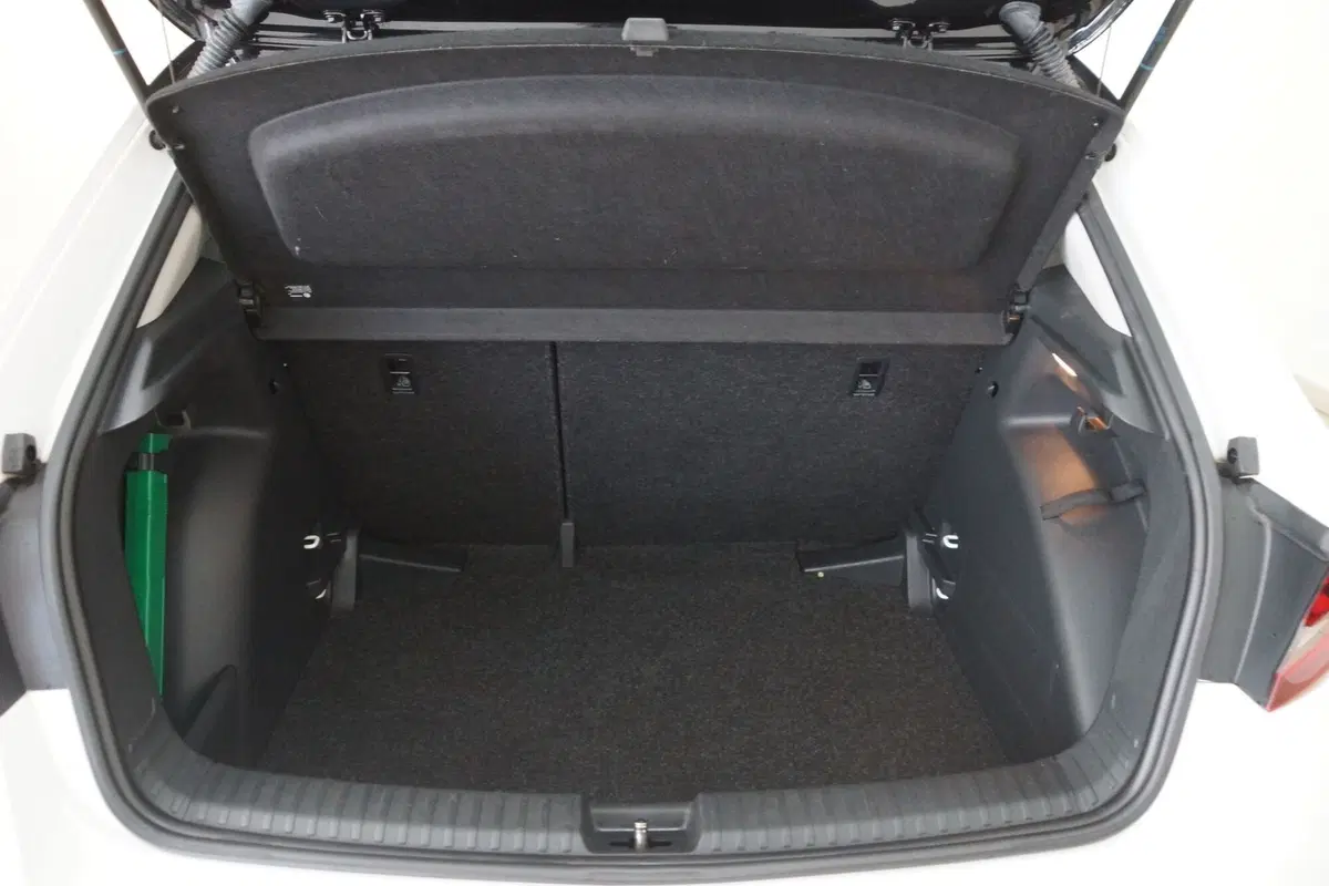 Skoda Fabia usata a Torino (7)