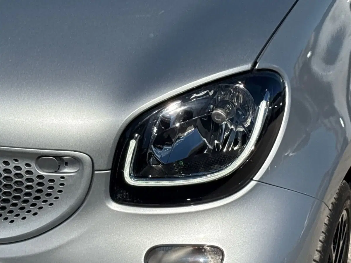 smart forfour usata a Palermo (13)