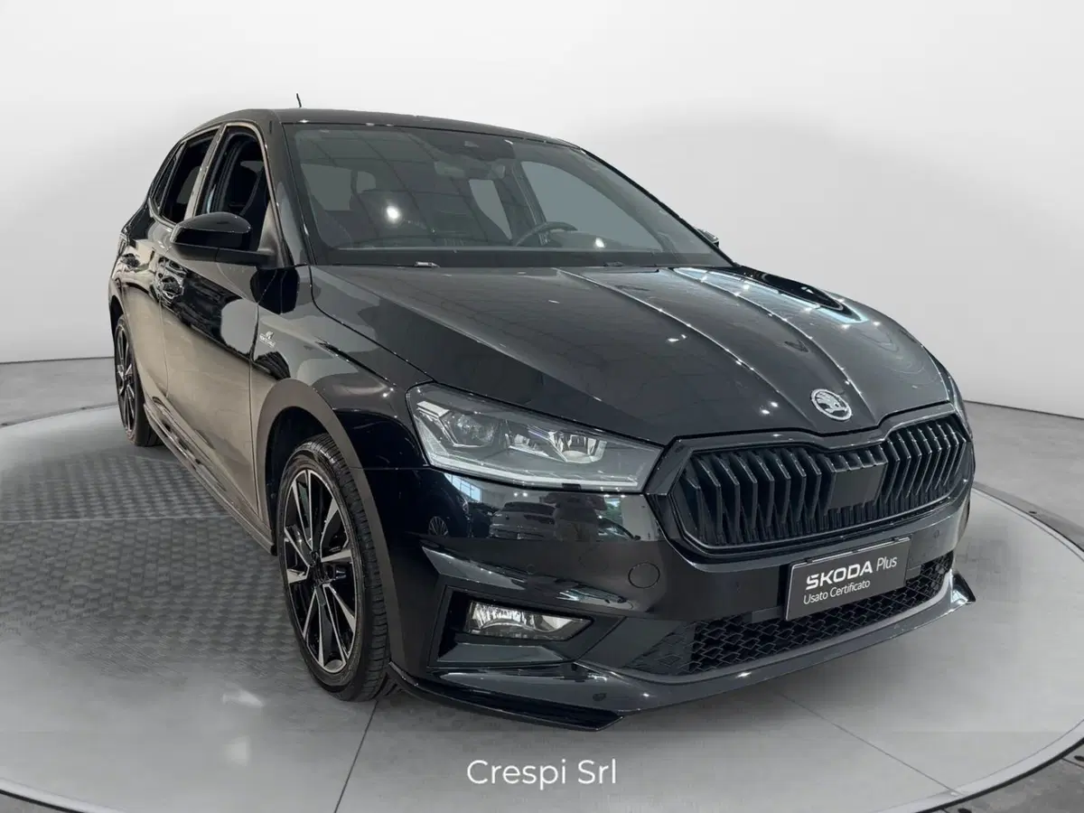 Skoda Fabia usata a Varese (2)