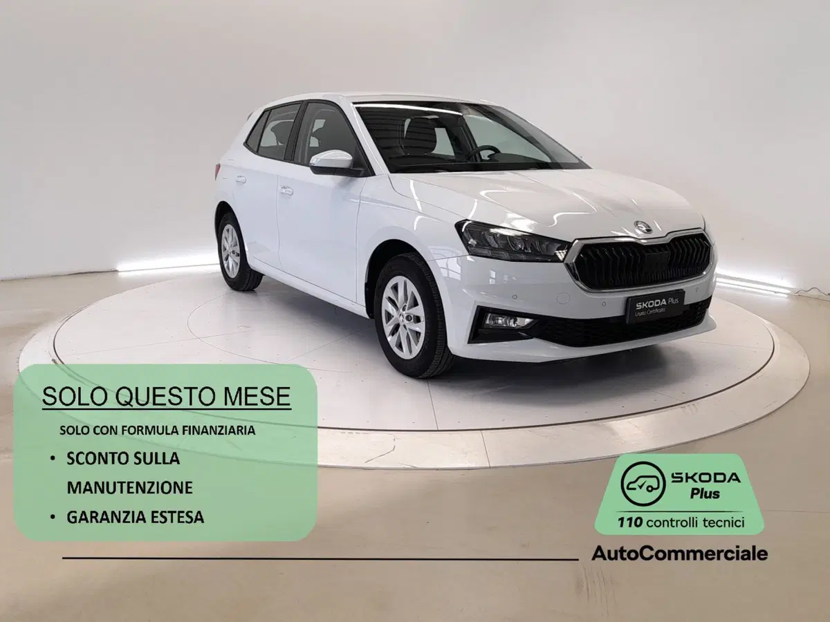 Skoda Fabia usata a Bologna