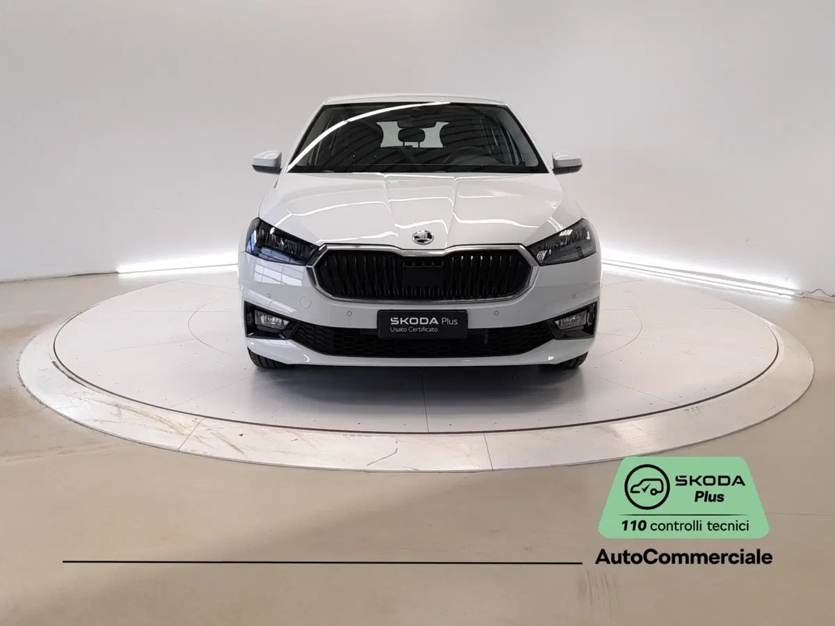 Skoda Fabia usata a Bologna (2)