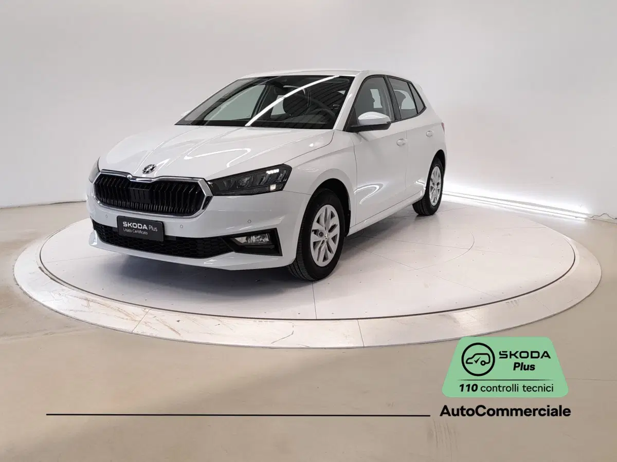 Skoda Fabia usata a Bologna (3)