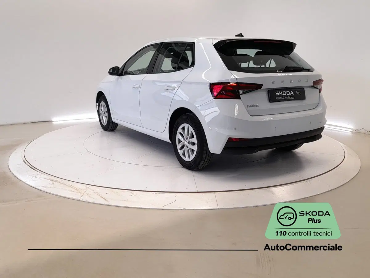 Skoda Fabia usata a Bologna (4)