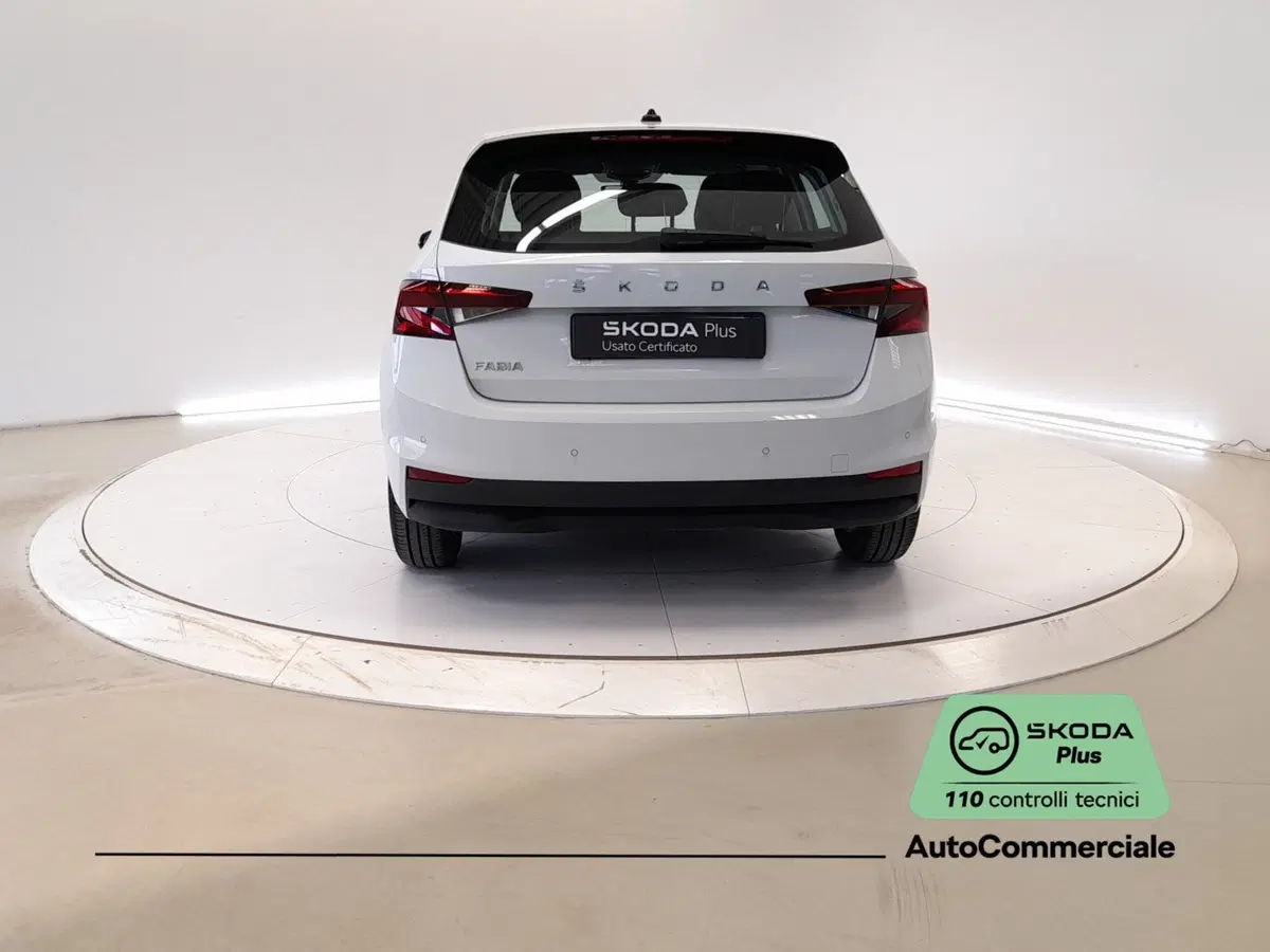 Skoda Fabia usata a Bologna (5)