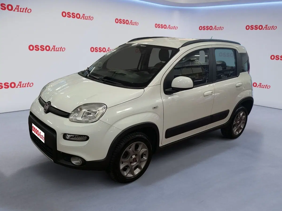 Fiat Panda usata a Udine