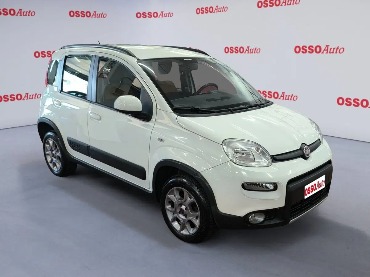 Fiat Panda usata a Udine (2)
