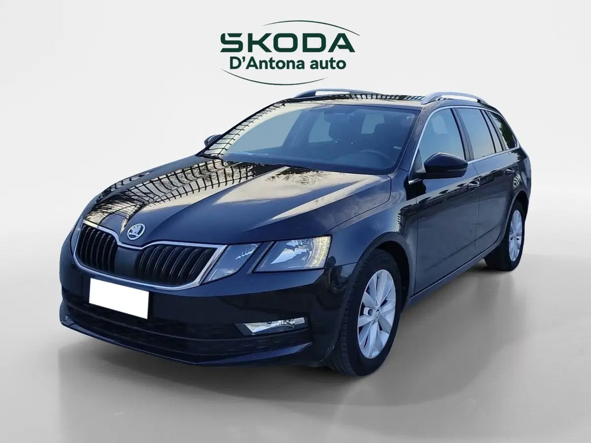 Skoda Octavia Station Wagon usata a Taranto (2)