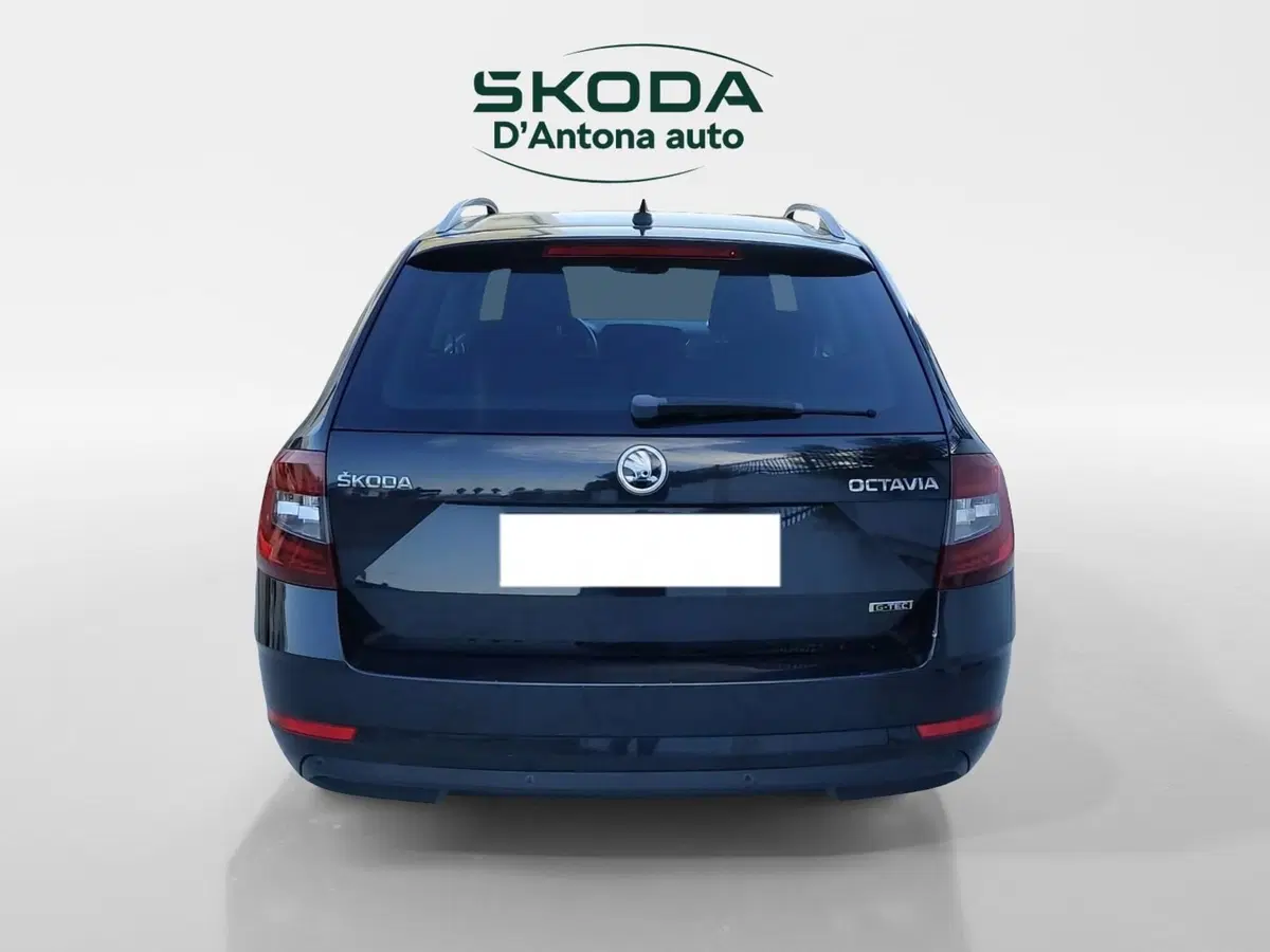 Skoda Octavia Station Wagon usata a Taranto (4)