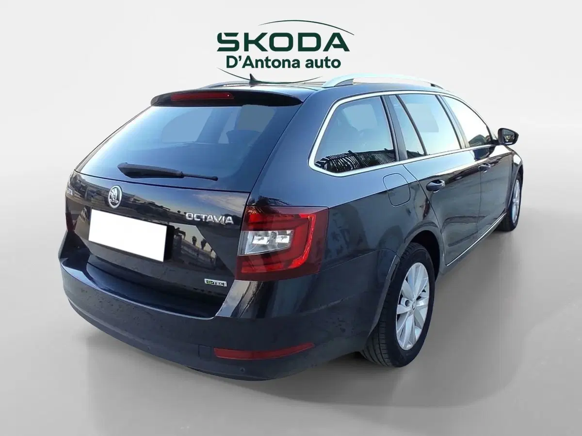 Skoda Octavia Station Wagon usata a Taranto (6)