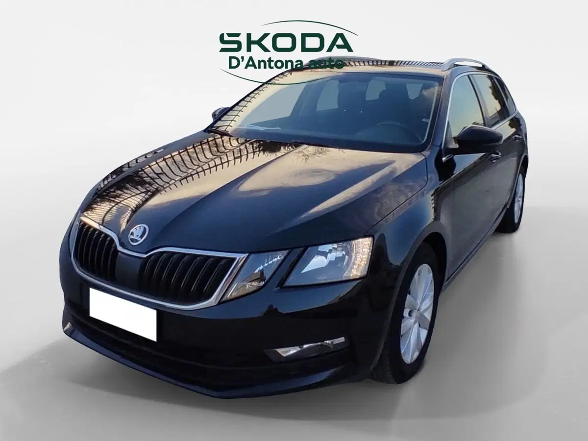 Skoda Octavia Station Wagon usata a Taranto (8)